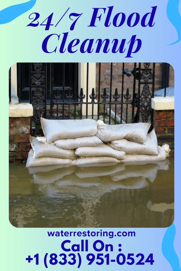 24/7 Flood Cleanup in Holland, AR